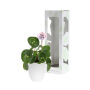Smylieplant® - Love in keramieke pot (large), In giftbox
