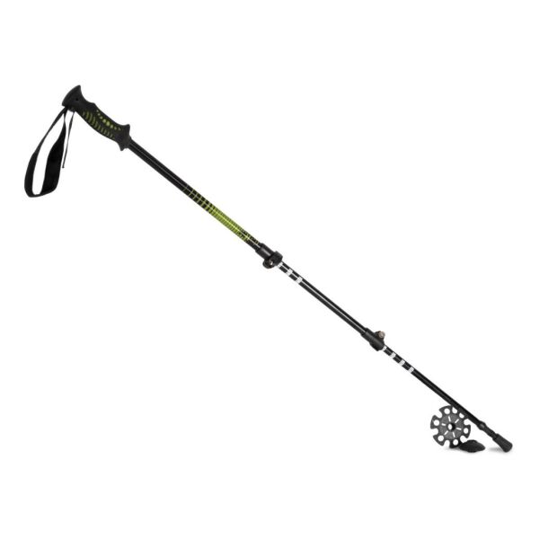 Nordic walking