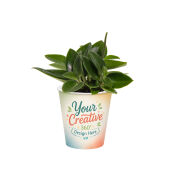 Green mix