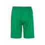 Evolve 2.0 Shorts Jr Team Green 122/128