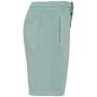 Ecologische herenshort French Terry  washed jade green 4XL