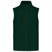 bottle green