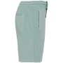 Ecologische herenshort French Terry Washed Jade Green 4XL